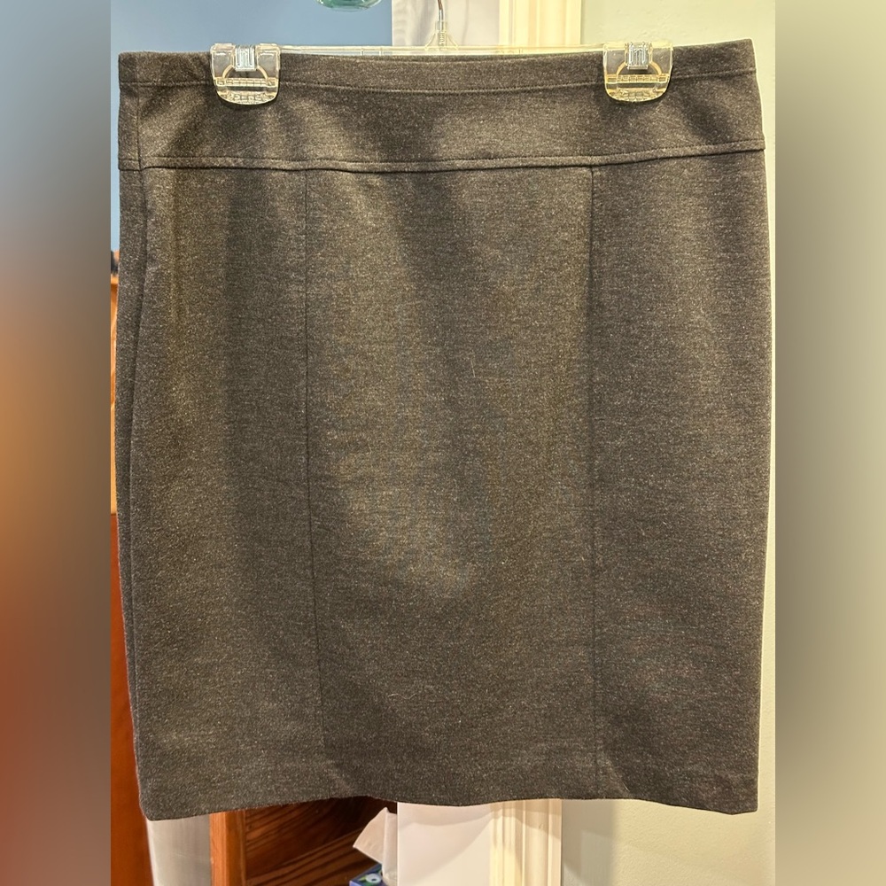 Ellen Tracy Slimming Pull On Skirt